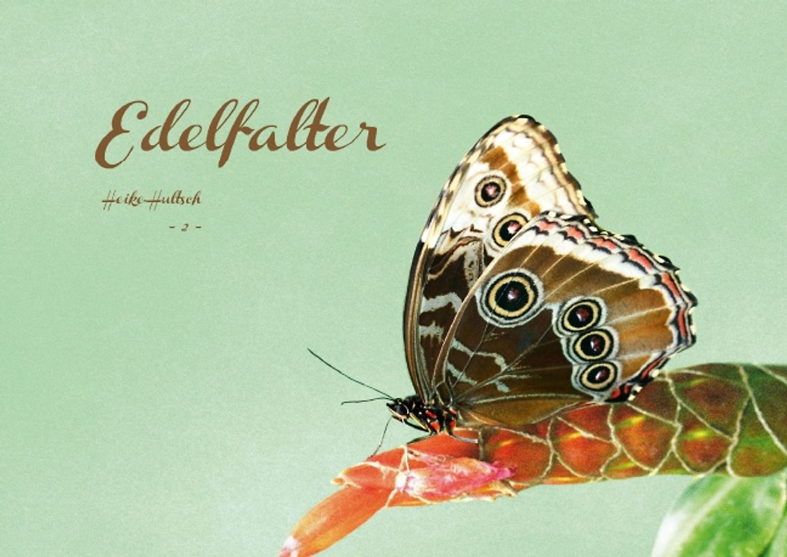 Edelfalter - 2 - (Posterbuch DIN A2 quer)