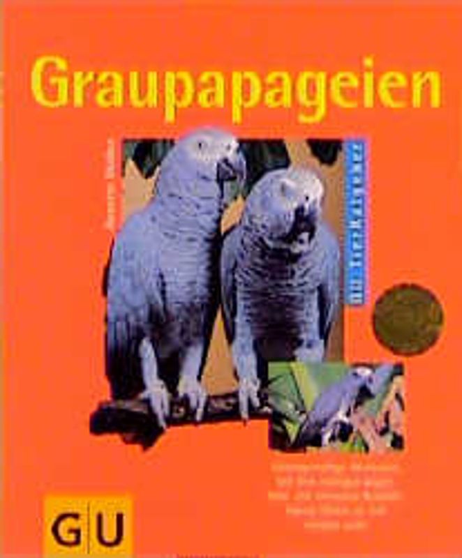 Graupapagei. Stimmgewaltige Akrobaten. Mit dem richtigen Vogelheim und intensiver Beschäftigung fühlen sie sich rundum wohl