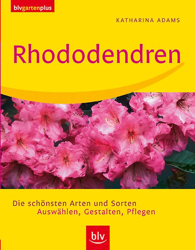 Rhododendren