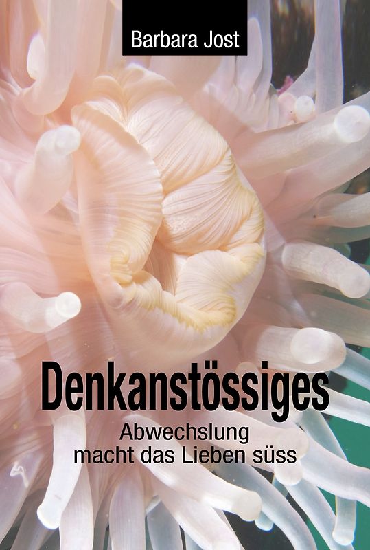 Denkanstössiges