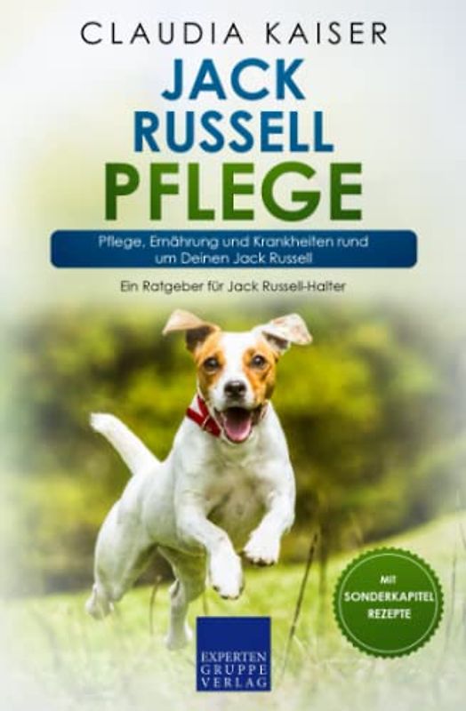Jack Russell Pflege: Pflege, Ernährung und Krankheiten rund um Deinen Jack Russell (Jack Russell Terrier, Band 3)