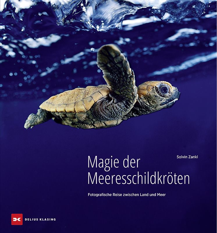 Magie der Meeresschildkröten
