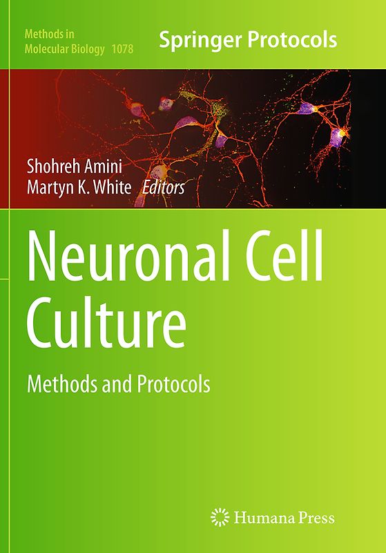 Neuronal Cell Culture