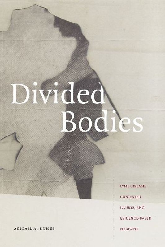 Divided Bodies