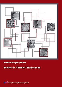 Zeolites in Chemical Engineering