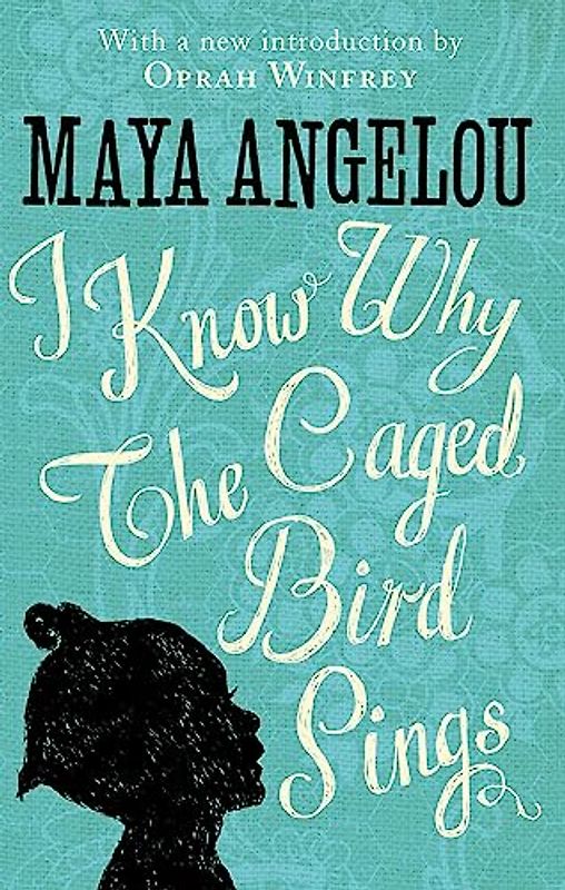 I Know Why The Caged Bird Sings (Virago Modern Classics)