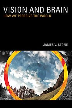 Vision and Brain: How We Perceive the World (Mit Press)