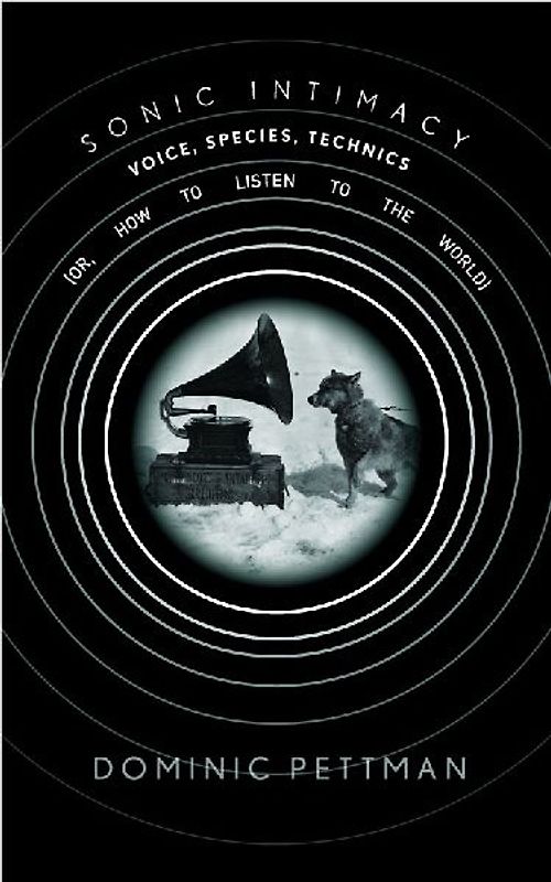 Sonic Intimacy