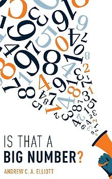 Is That a Big Number? C