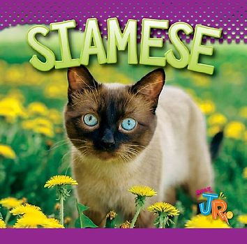 Siamese