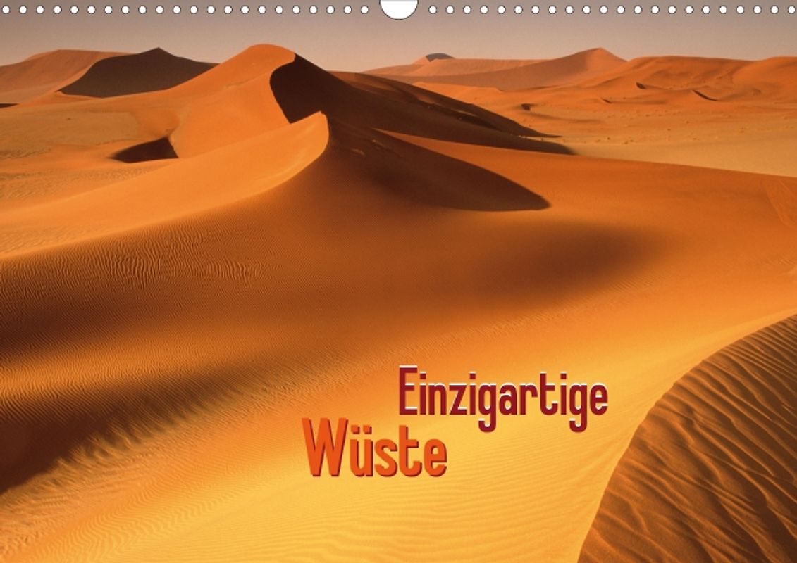 Einzigartige Wüste (Posterbuch DIN A3 quer)