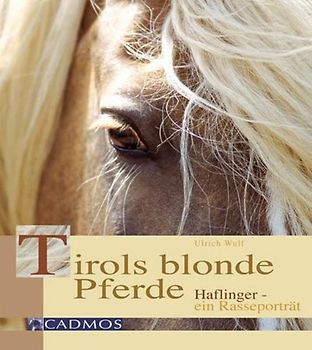 Tirols blonde Pferde