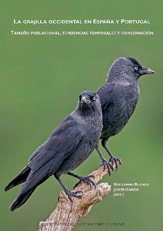 La grajilla occidental en España y Portugal : tamaño poblacional, tendencias temporales y conservación
