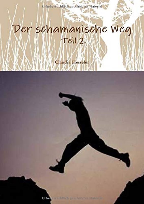 Der schamanische Weg - Teil 2: Ein ungewöhnliches Lehrbuch zum Selbststudium oder besser zur Selbsterfahrung