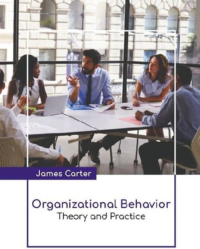 Organizational Behavior: Theory and Practice
