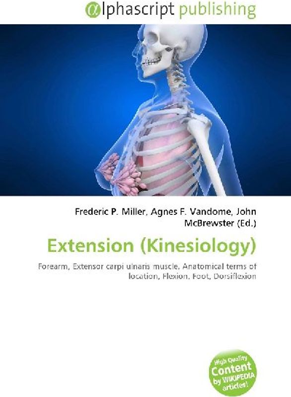 Extension (Kinesiology)