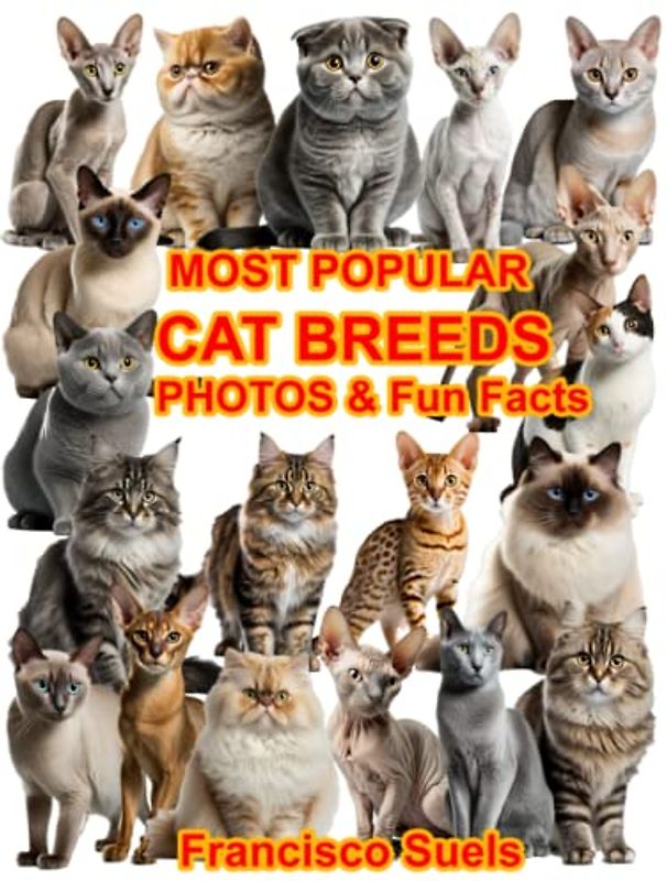 Most Popular Cat Breeds Photos Fun Facts