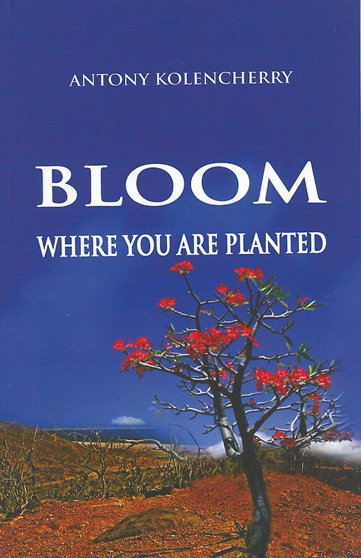 Bloom where you planted