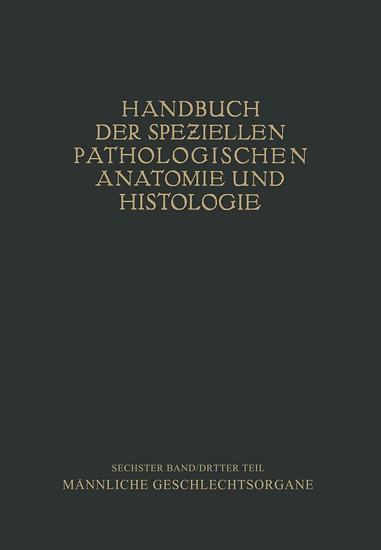 Harnorgane Männliche Geschlechtsorgane