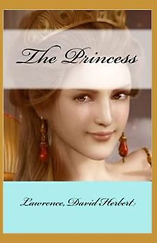 The Princess Illustrated