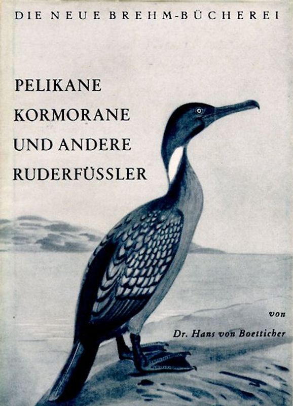 Pelikane, Kormorane und andere Ruderfüßler