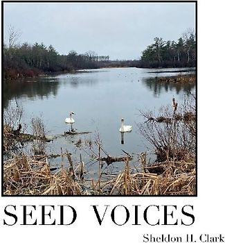 Seed Voices