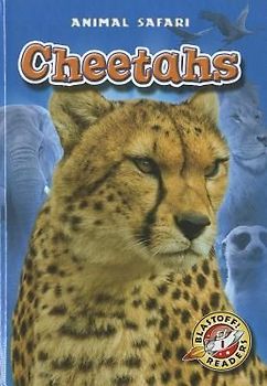 Cheetahs