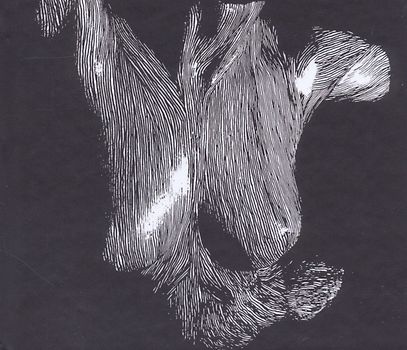 Oceansize - Self Preserved While the Bodie