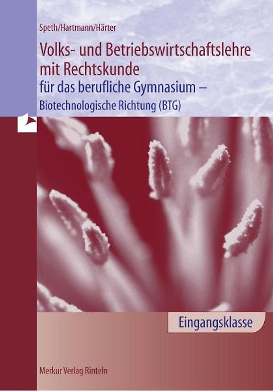 Volks- und Betriebswirtschaftslehre mit Rechtskunde für das berufliche Gymnasium - Biotechnologische Richtung (BTG) - Eingangsklasse