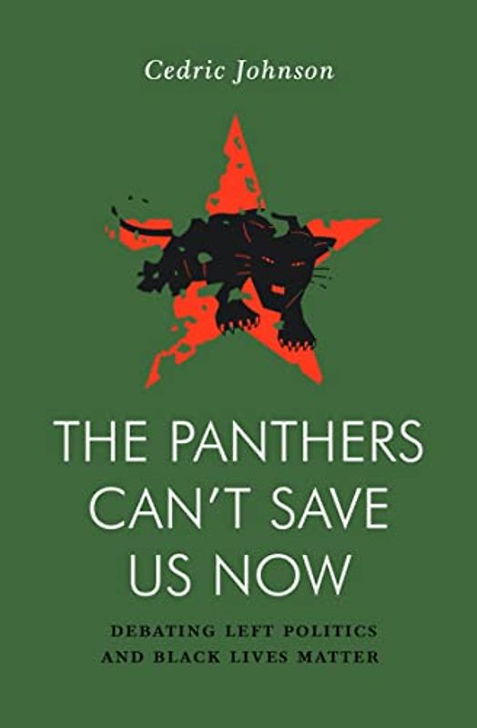 The Panthers Can't Save Us Now