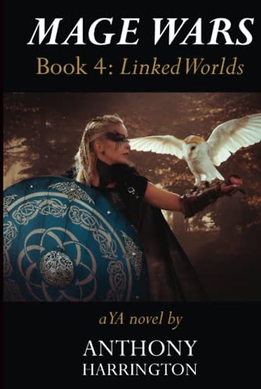 Mage Wars - Book 4: Linking Worlds