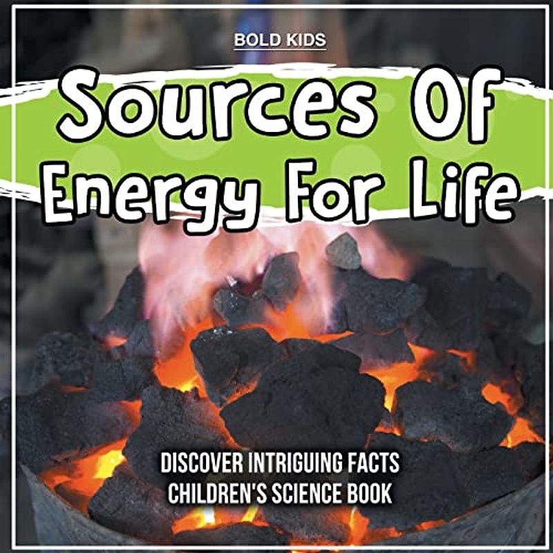 Sources Of Energy For Life | 2nd Grade | Children's Science Book