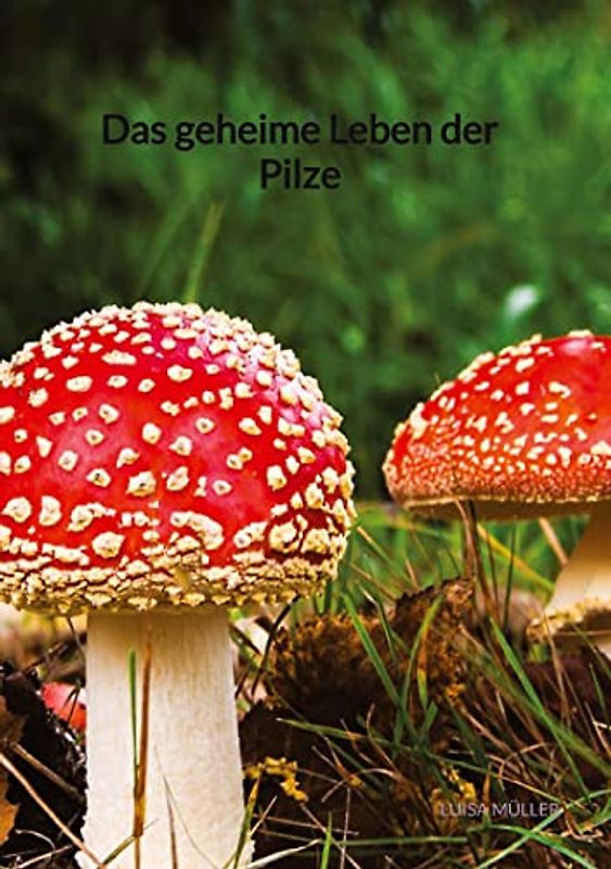 Das geheime Leben der Pilze