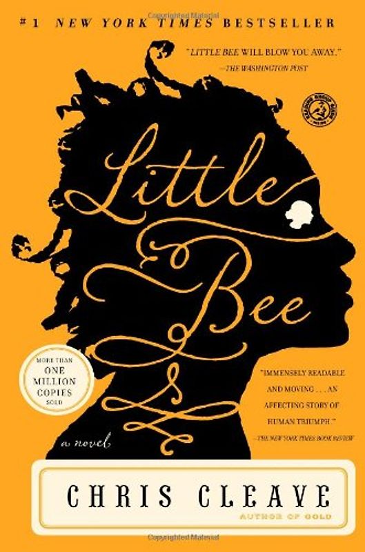 Little Bee: A Novel