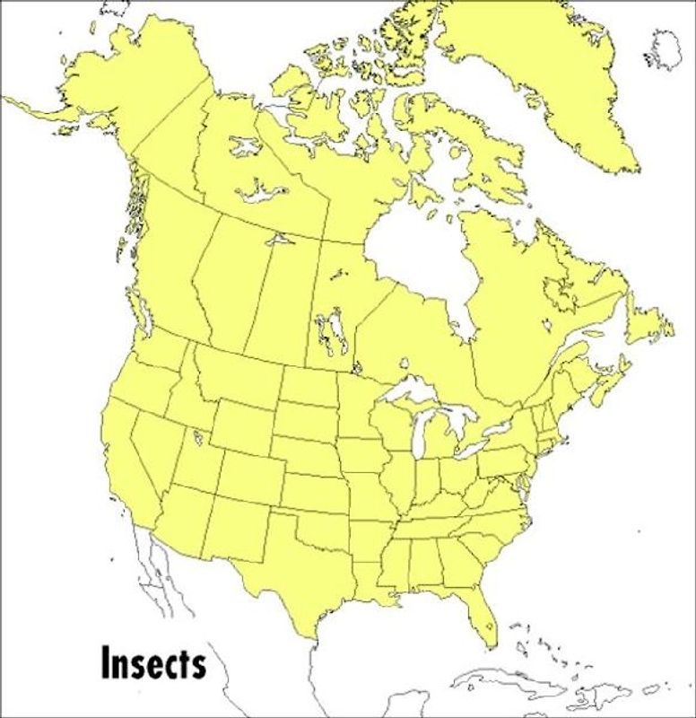A Peterson Field Guide to Insects