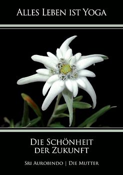 Die Schönheit der Zukunft