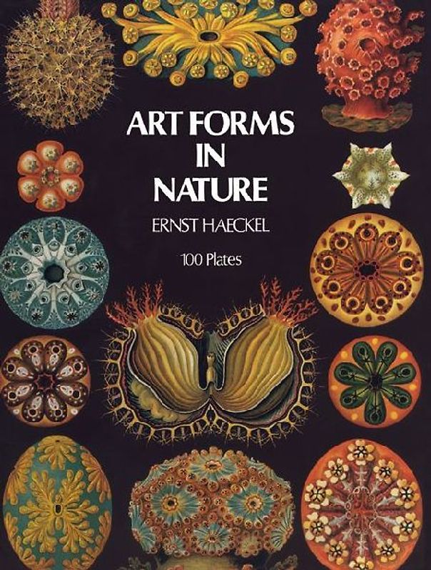 Art Forms in Nature