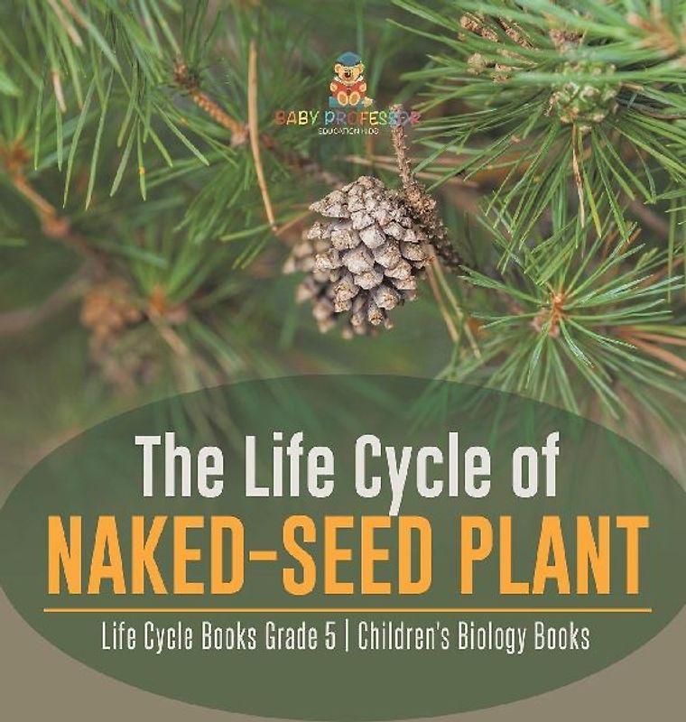 The Life Cycle of Naked-Seed Plant | Life Cycle Books Grade 5 | Children's Biology Books