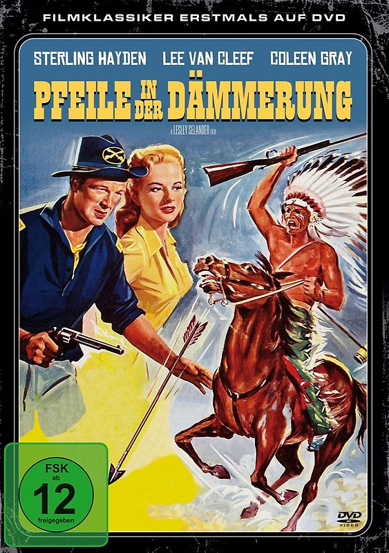 Pfeile in der Dämmerung DVD