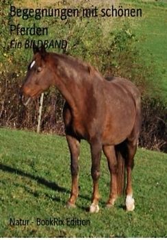 Begegnungen mit schönen Pferden - Metzger, Klaus