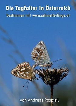 Die Tagfalter Österreichs bestimmen