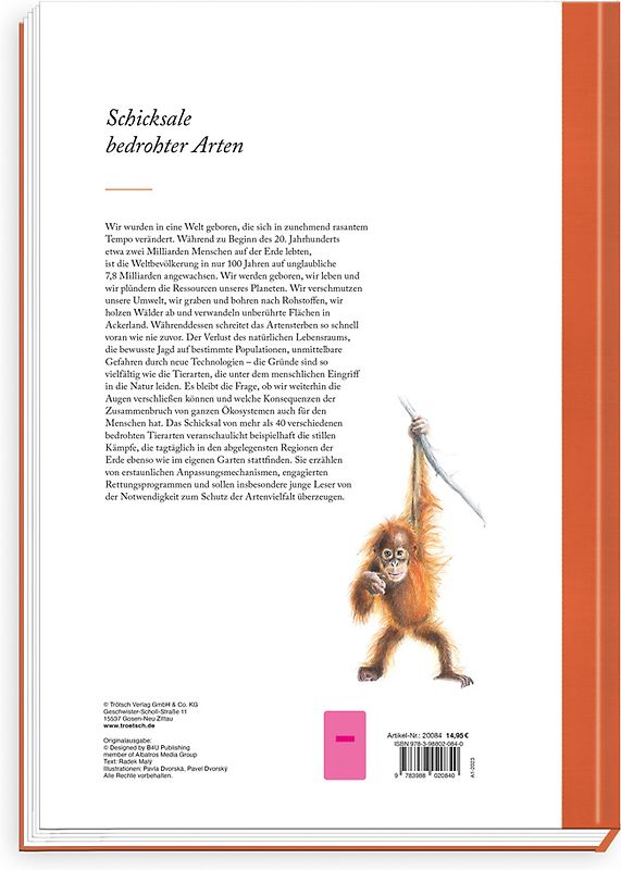 Krieg im Frieden. Amerikanische Strategien für die Dritte Welt: Counterinsurgency und Low-Intensity Conflict