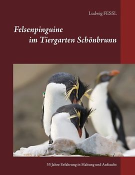 Felsenpinguine im Tiergarten Schönbrunn