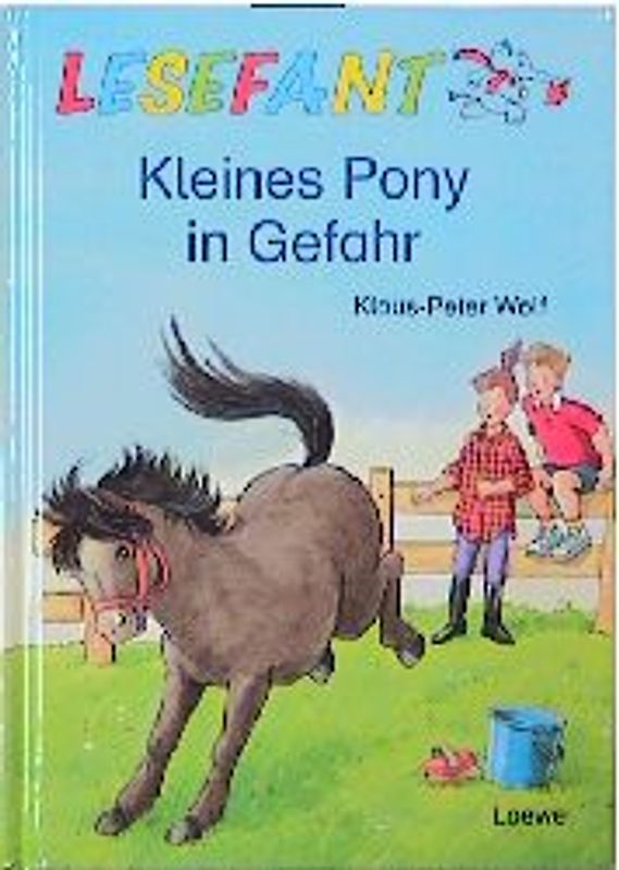 Kleines Pony in Gefahr