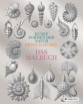Kunstformen der Natur von Ernst Haeckel