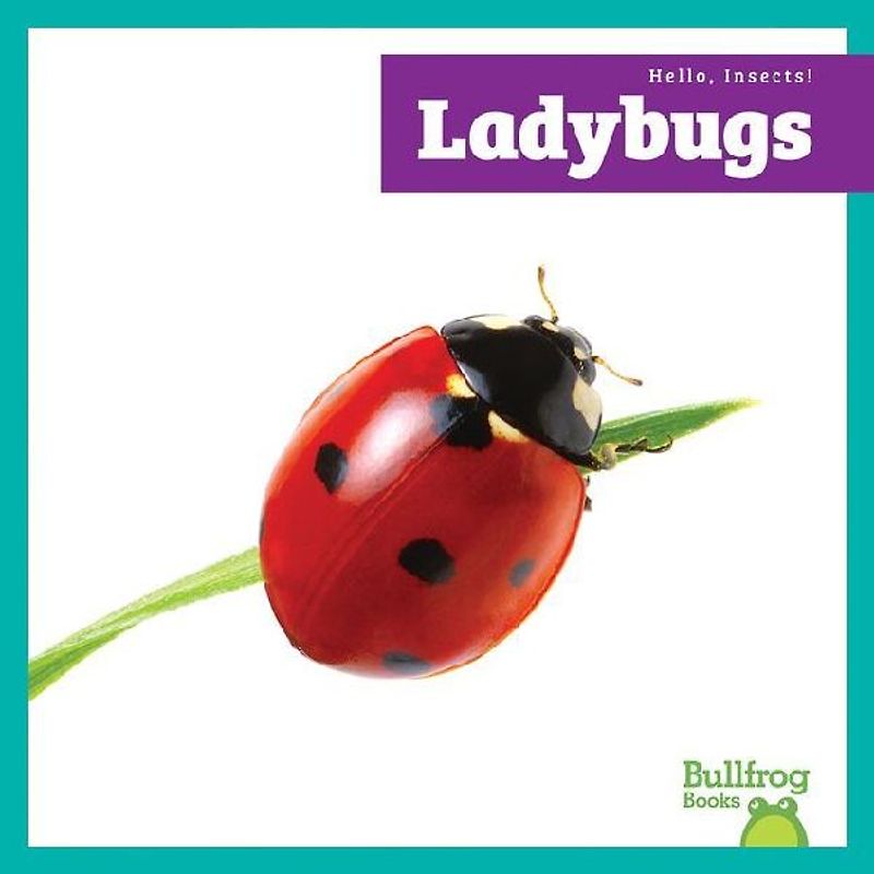Ladybugs
