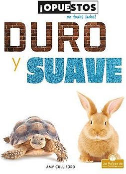 Duro Y Suave (Hard and Soft)