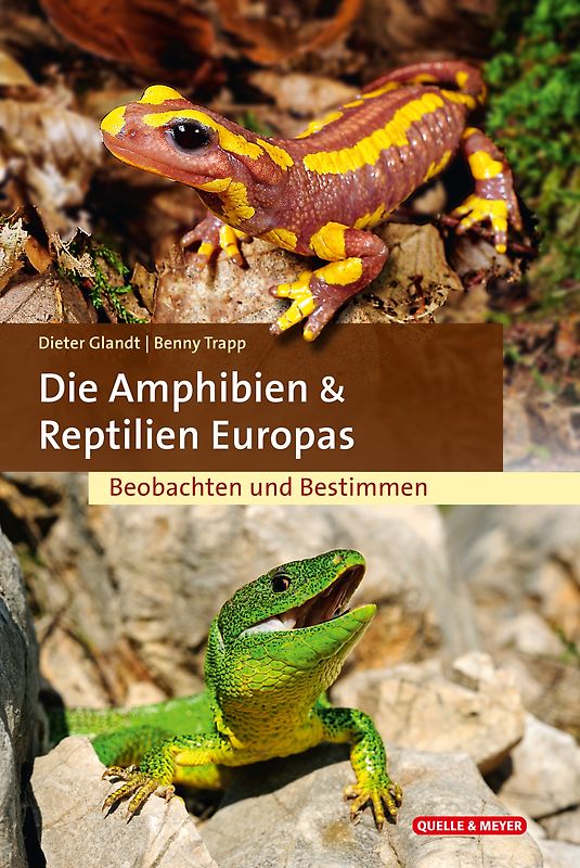Die Amphibien und Reptilien Europas