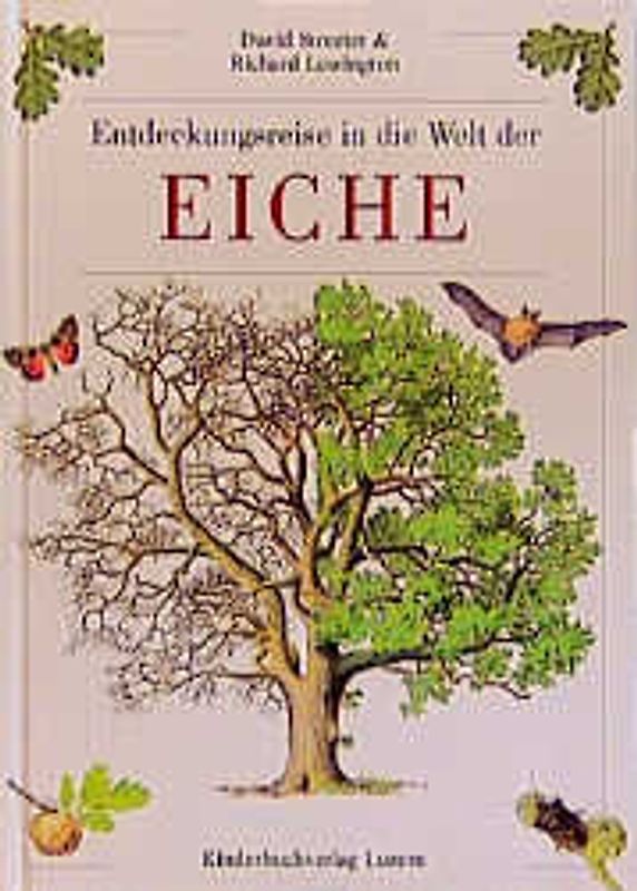 Entdeckungsreise in die Welt der Eiche