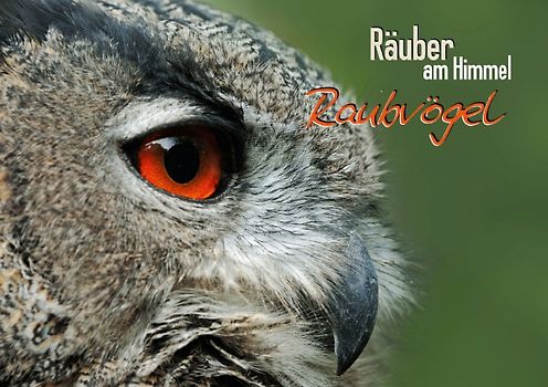 Räuber am Himmel: Raubvögel (Tischaufsteller DIN A5 quer)